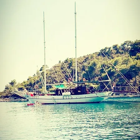 Charming On Msy Alisa Week Long Island Hopping Adventure Through Dalmatian Coastal Gems *