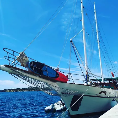 Charming On Msy Alisa Week Long Island Hopping Adventure Through Dalmatian Coastal Gems